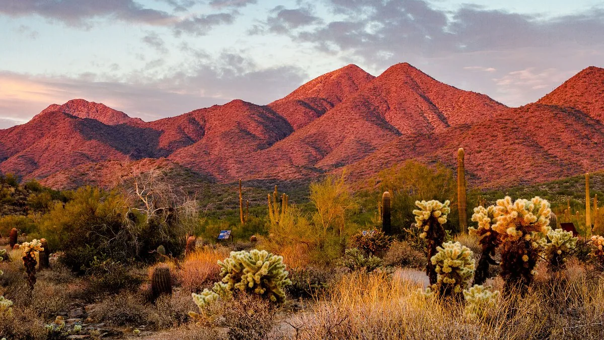 Scottsdale Commercial Roof Repair Choices