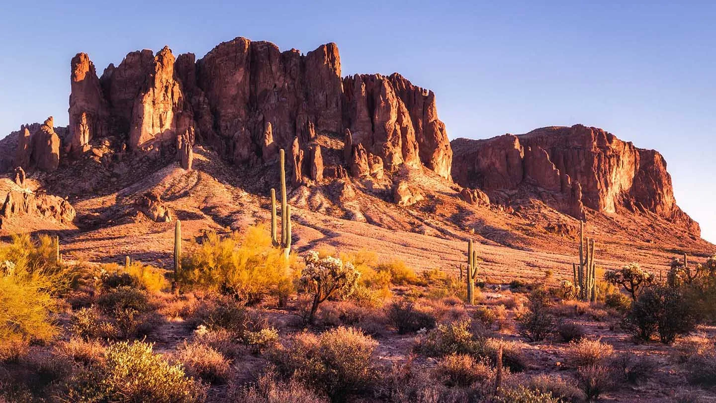 Commercial Roof Repair in the Superstition Springs District